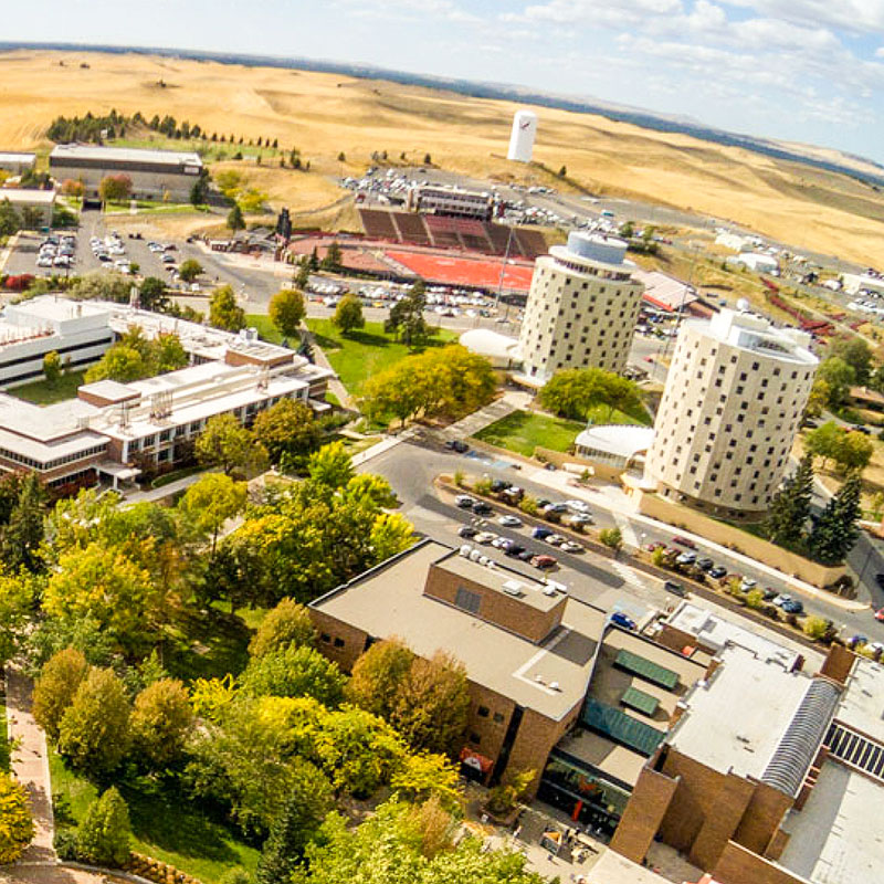 photo: summer campus flyover