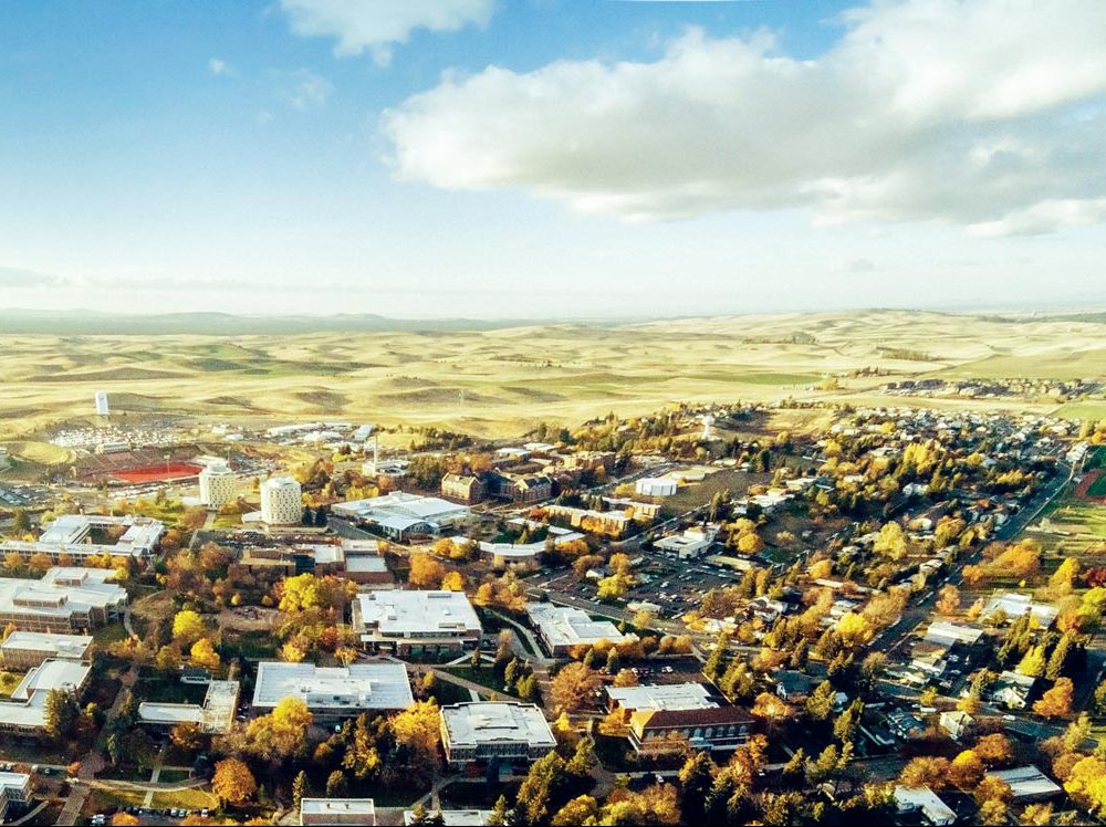 Aerial shot of Cheney